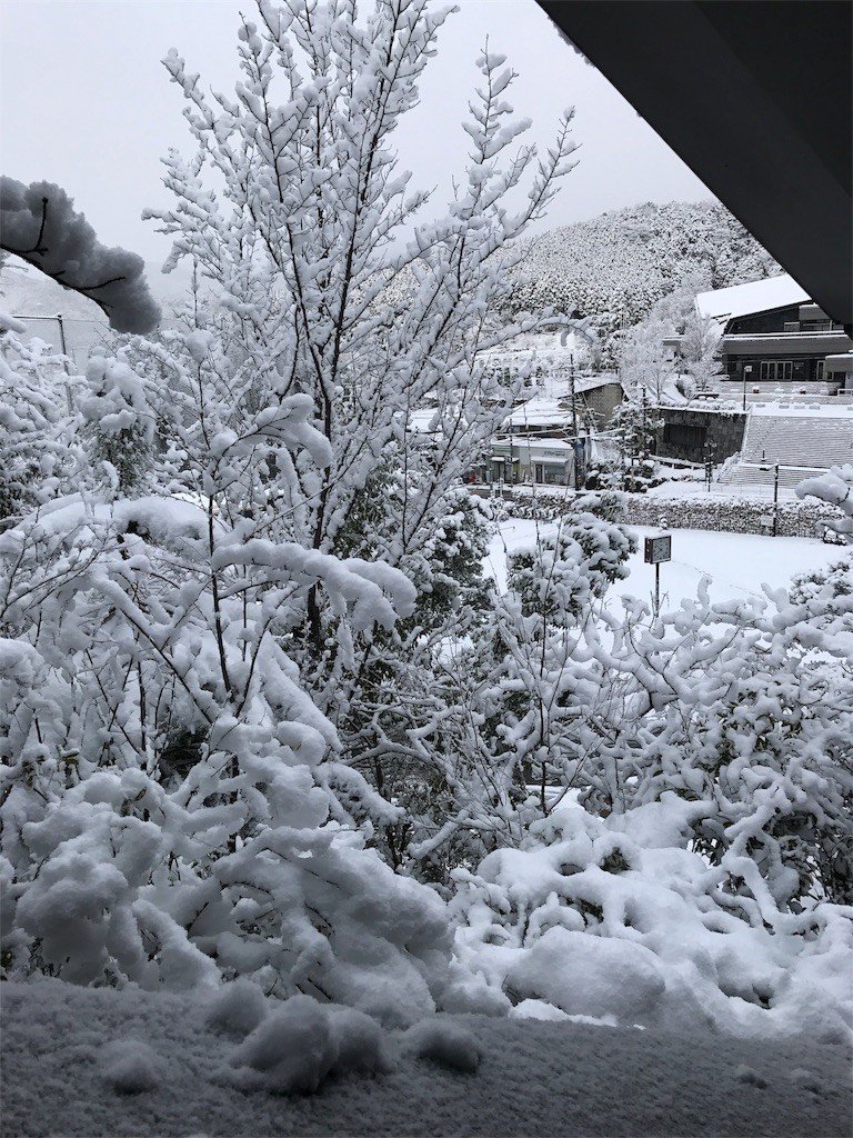 f:id:bluetears_osaka:20170116213822j:image