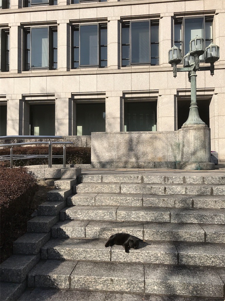 f:id:bluetears_osaka:20170128232620j:image