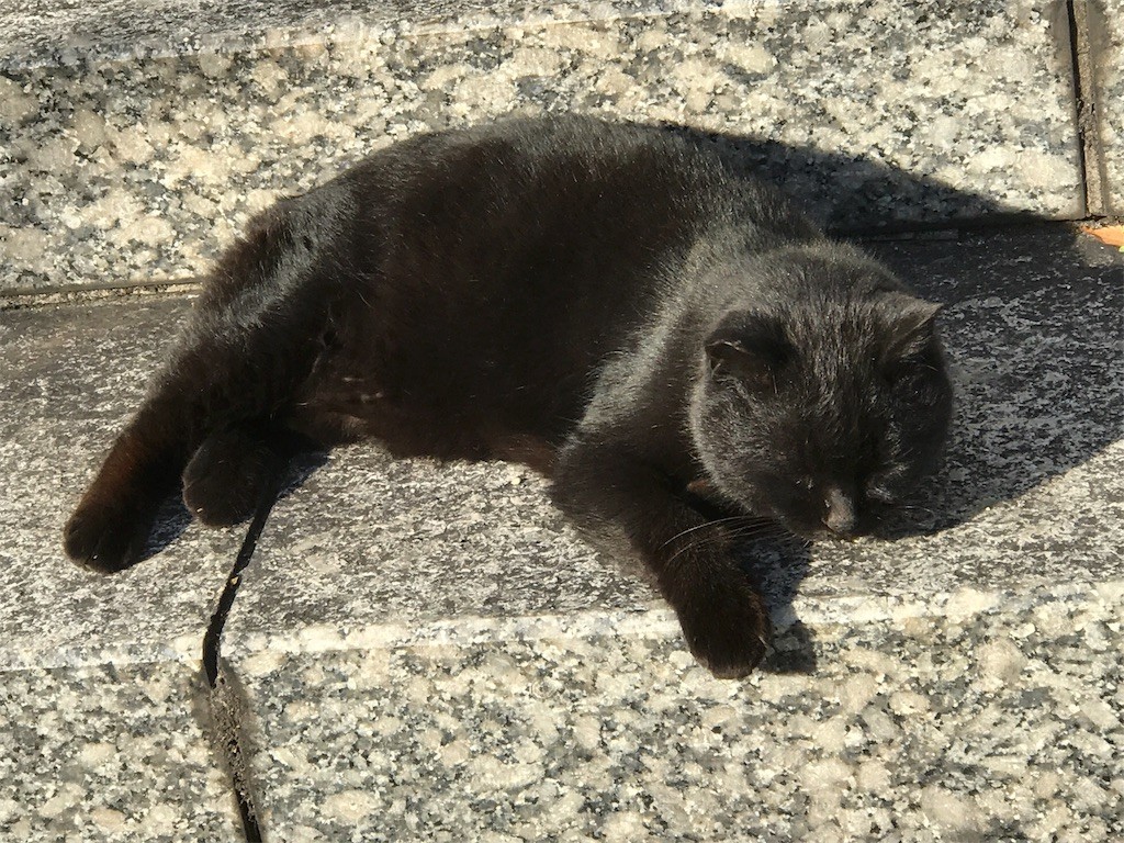 f:id:bluetears_osaka:20170128232627j:image