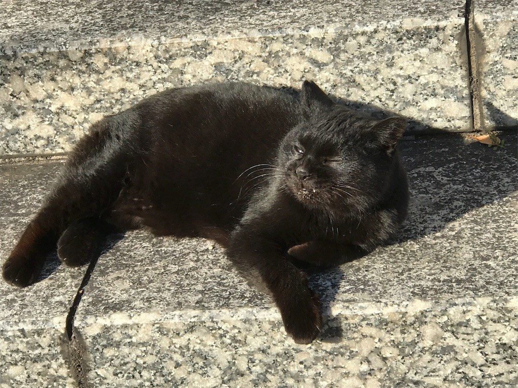 f:id:bluetears_osaka:20170128232639j:image