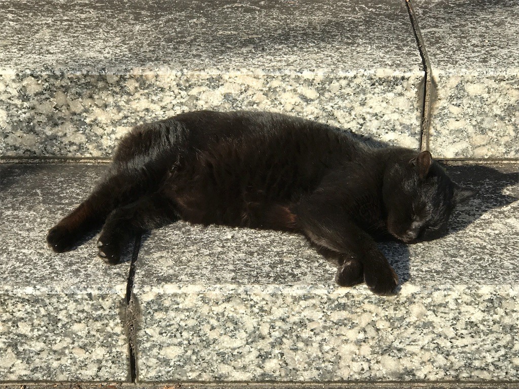 f:id:bluetears_osaka:20170128232645j:image