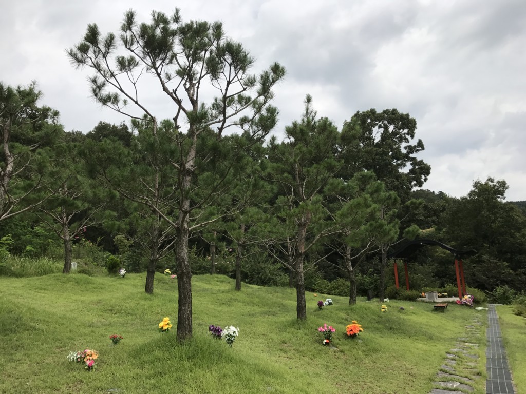 f:id:bluetears_osaka:20170828105417j:plain