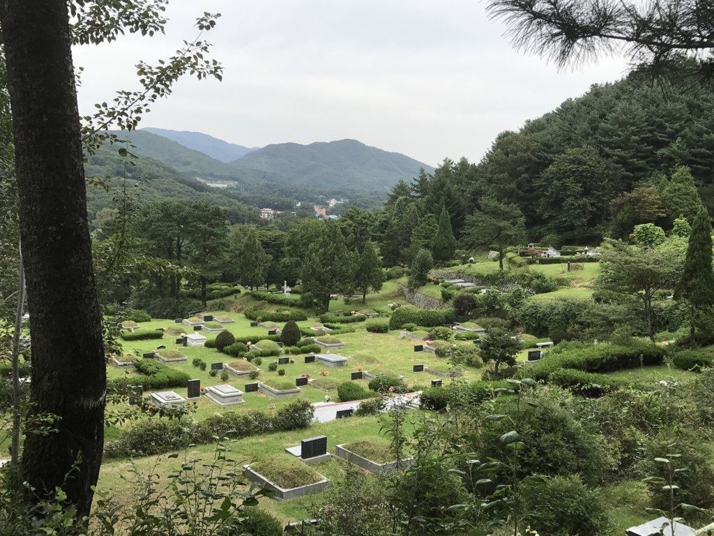 f:id:bluetears_osaka:20170830111236j:plain
