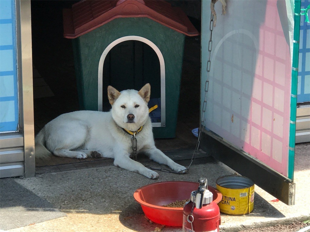 f:id:bluetears_osaka:20170901094858j:image