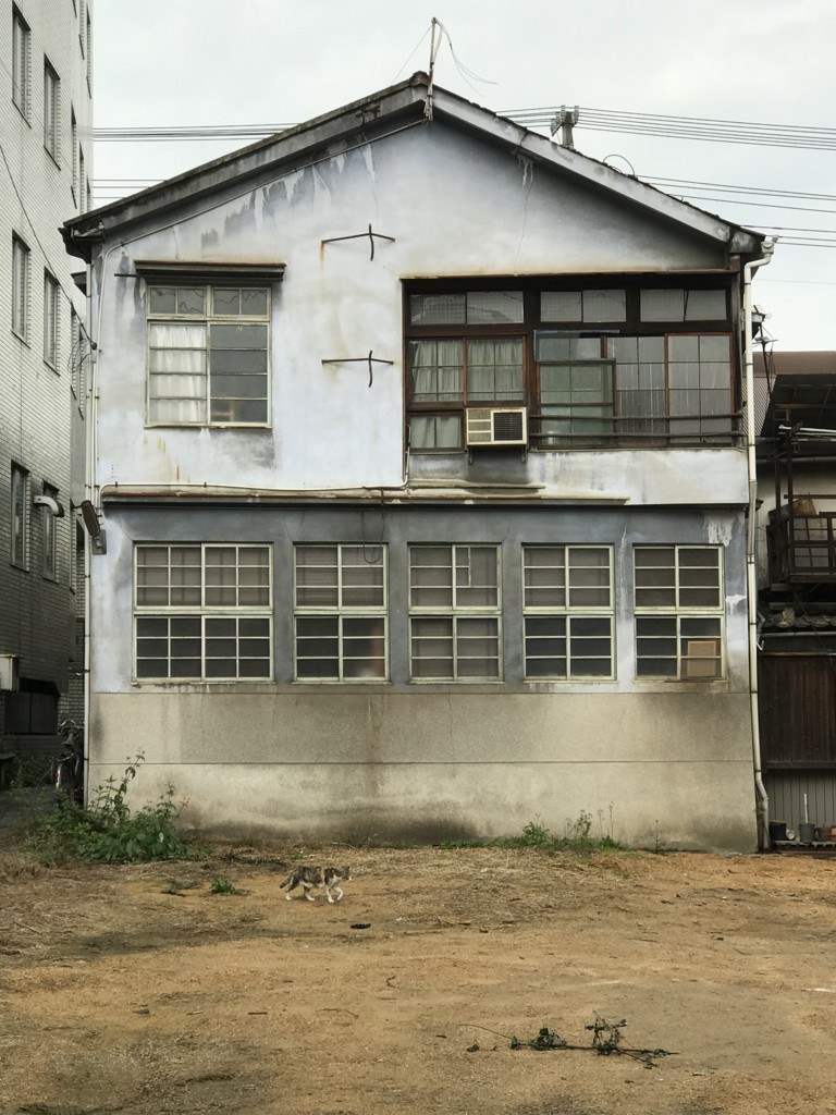 f:id:bluetears_osaka:20171119203432j:plain