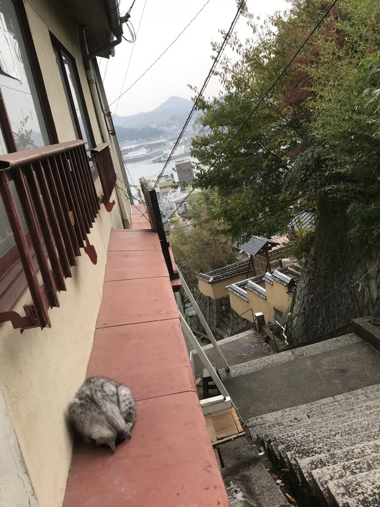 f:id:bluetears_osaka:20171119203900j:plain