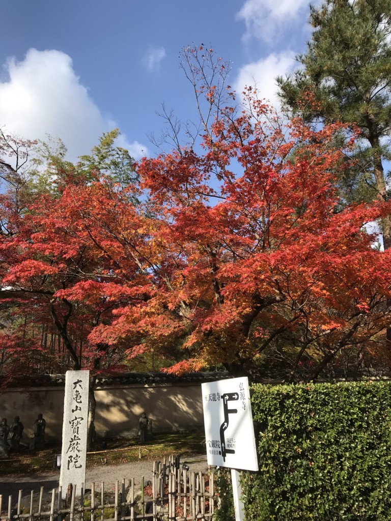 f:id:bluetears_osaka:20171123225850j:plain