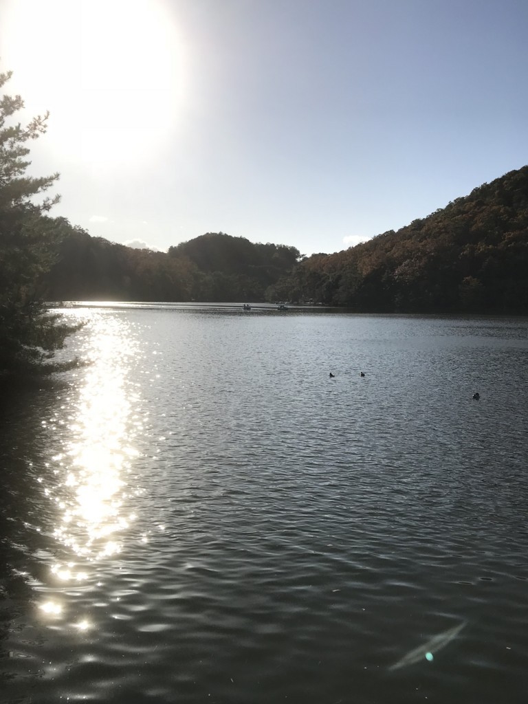 f:id:bluetears_osaka:20171123230318j:plain