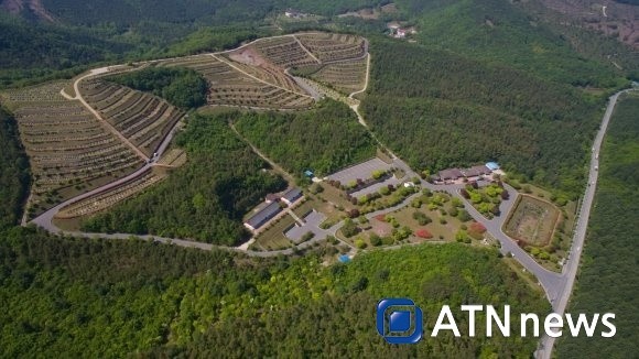 f:id:bluetears_osaka:20171128090244j:plain