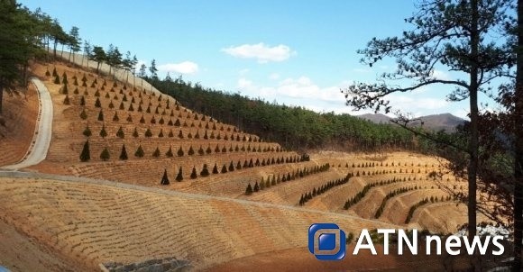 f:id:bluetears_osaka:20171128090325j:plain