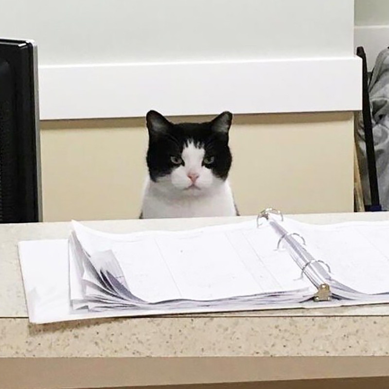 f:id:bluetears_osaka:20171201125526j:plain