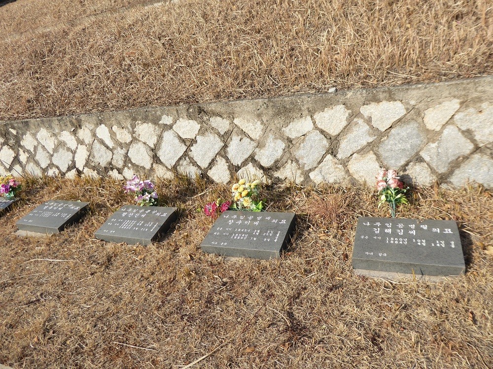 f:id:bluetears_osaka:20180102112529j:plain