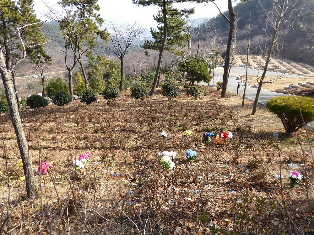 f:id:bluetears_osaka:20180102113242j:plain