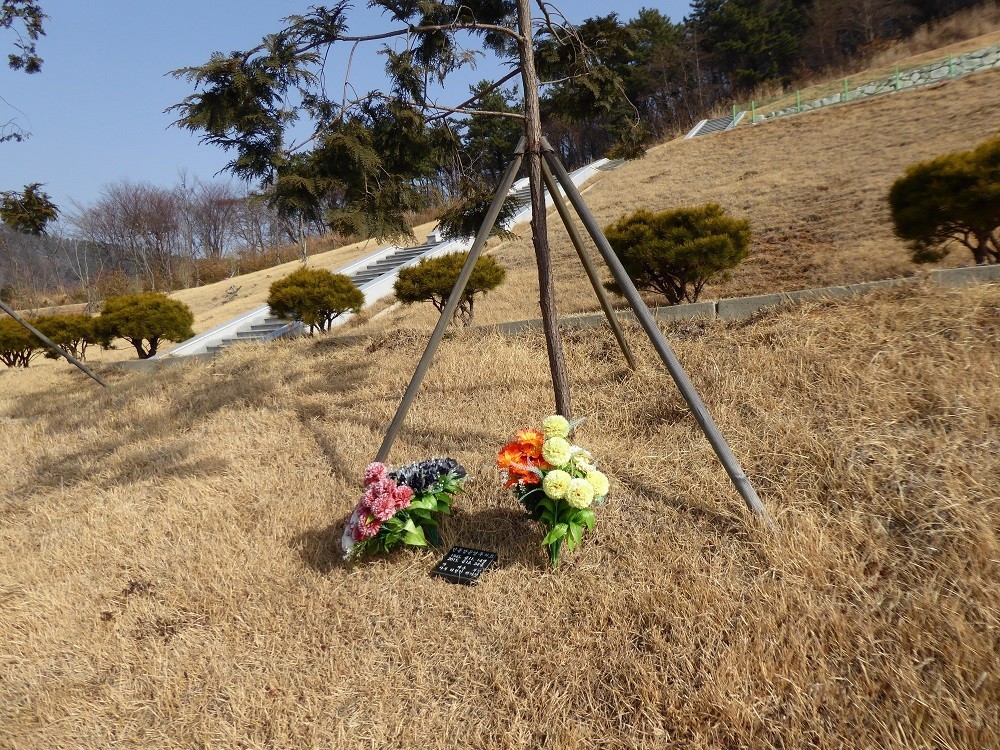 f:id:bluetears_osaka:20180102115245j:plain