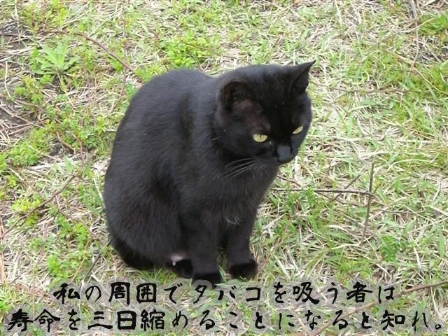 f:id:bluetears_osaka:20180118160700j:plain