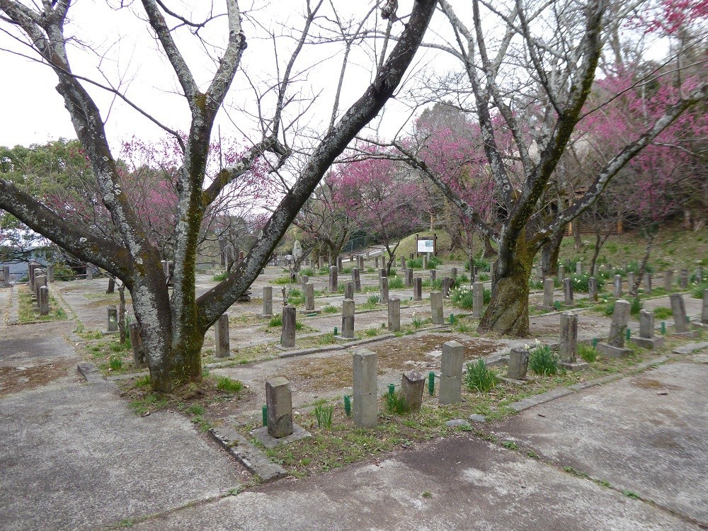 f:id:bluetears_osaka:20180228113836j:plain f:id:bluetears_osaka:20180228113836j:plain