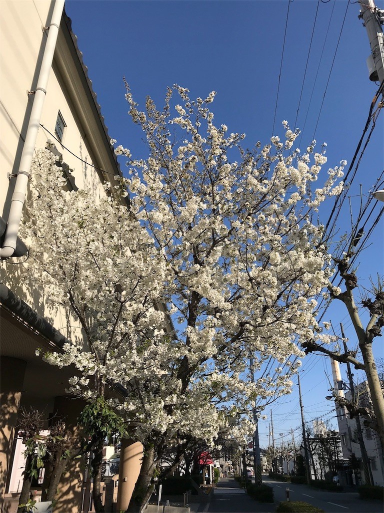 f:id:bluetears_osaka:20180325102847j:image f:id:bluetears_osaka:20180325102847j:image