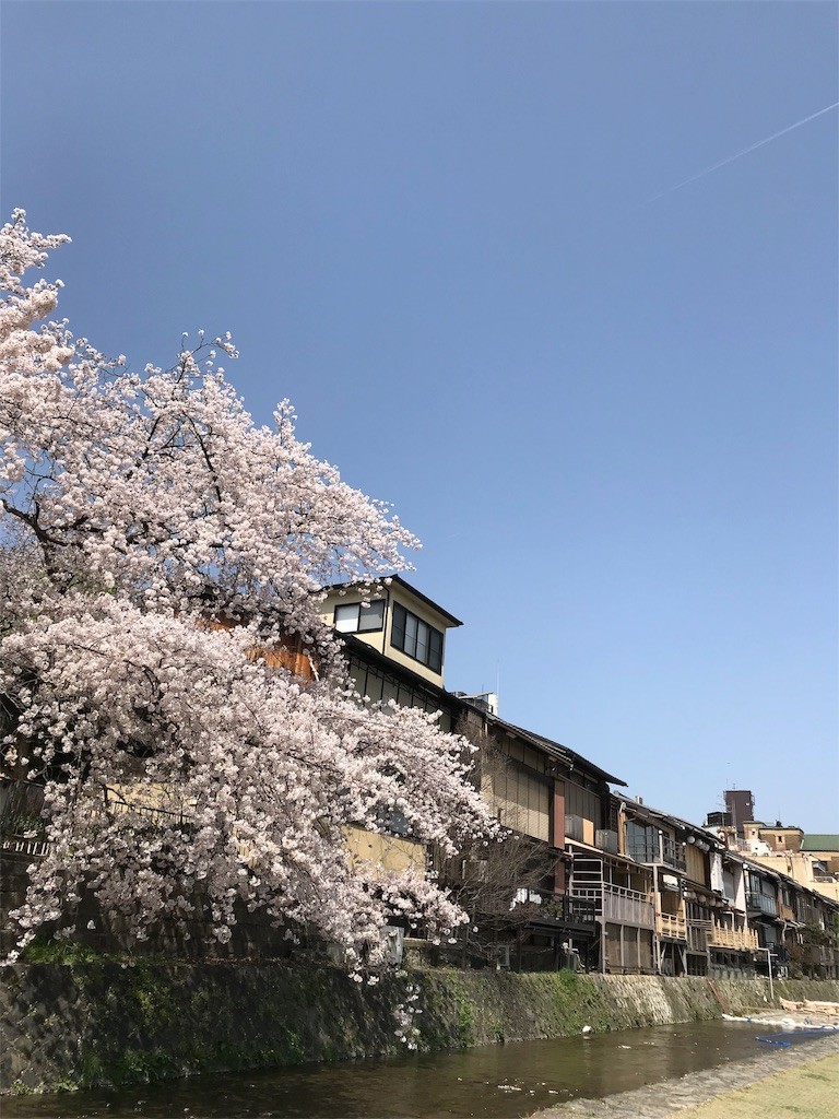 f:id:bluetears_osaka:20180401183147j:image