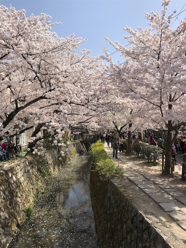 f:id:bluetears_osaka:20180401183411j:image