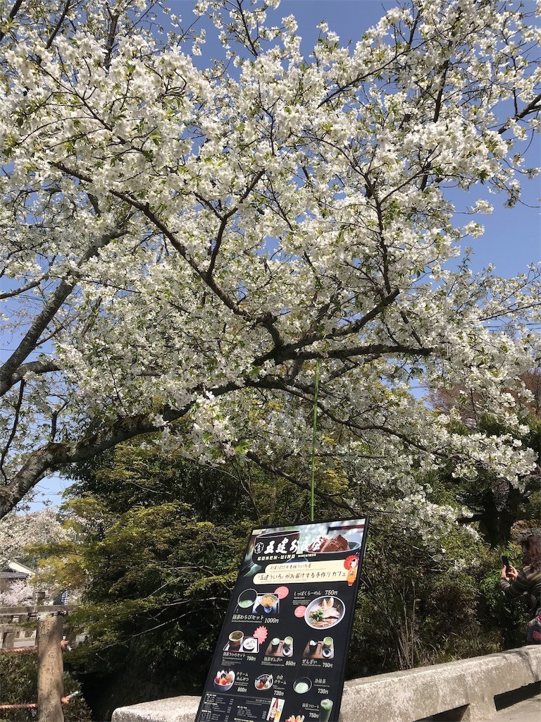 f:id:bluetears_osaka:20180401183459j:image