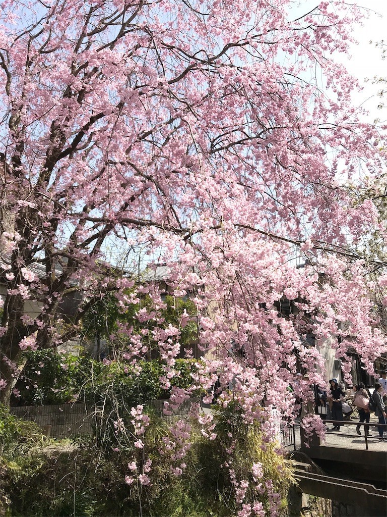 f:id:bluetears_osaka:20180401183522j:image