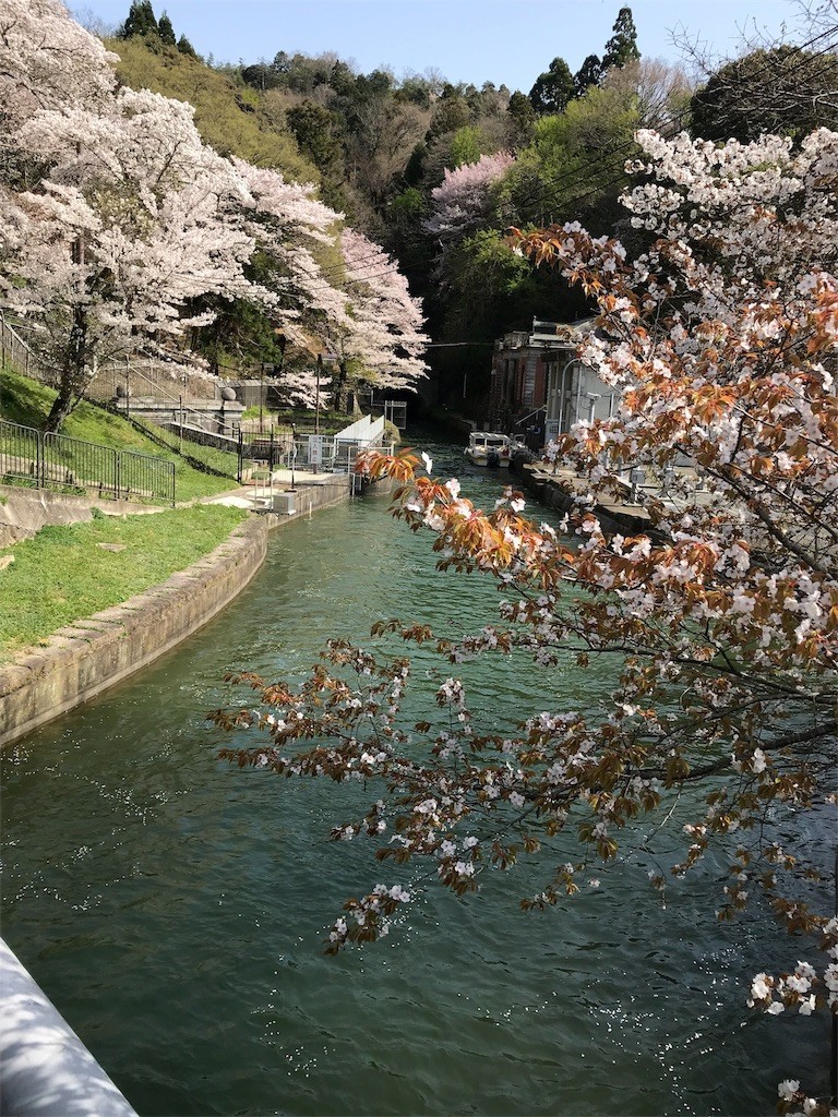 f:id:bluetears_osaka:20180401183739j:image