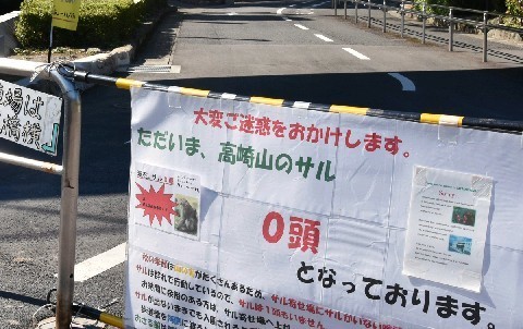 f:id:bluetears_osaka:20181109113946j:plain