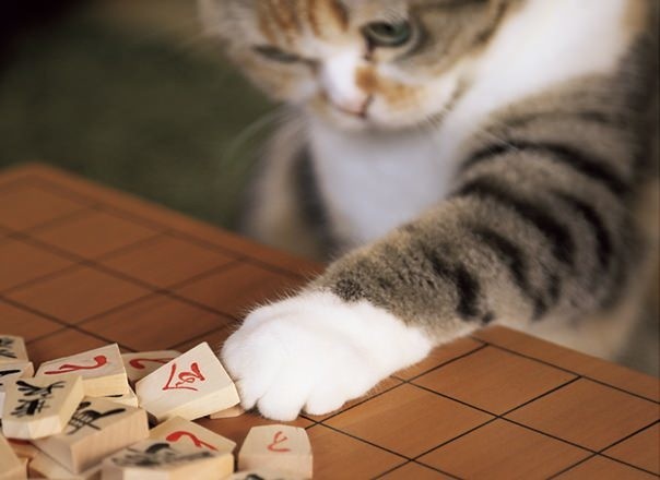 f:id:bluetears_osaka:20181113162738j:plain f:id:bluetears_osaka:20181113162738j:plain