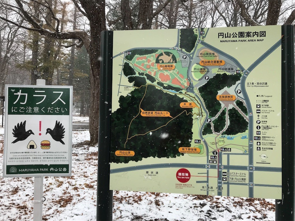 f:id:bluetears_osaka:20181211121619j:image