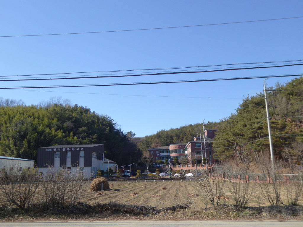 f:id:bluetears_osaka:20181228130636j:plain