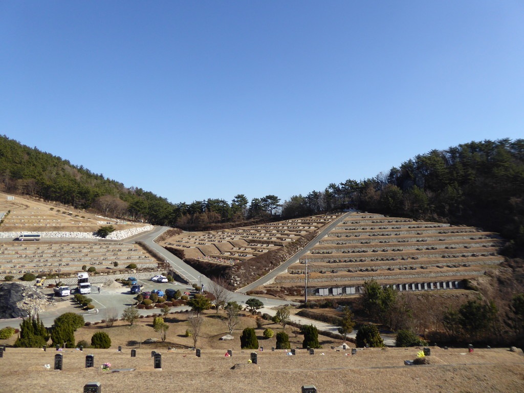 f:id:bluetears_osaka:20181229131844j:plain f:id:bluetears_osaka:20181229131844j:plain