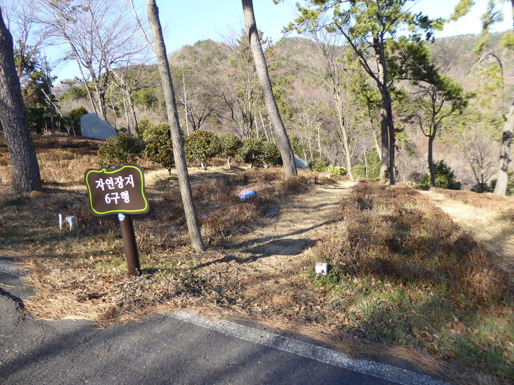 f:id:bluetears_osaka:20181229135139j:plain