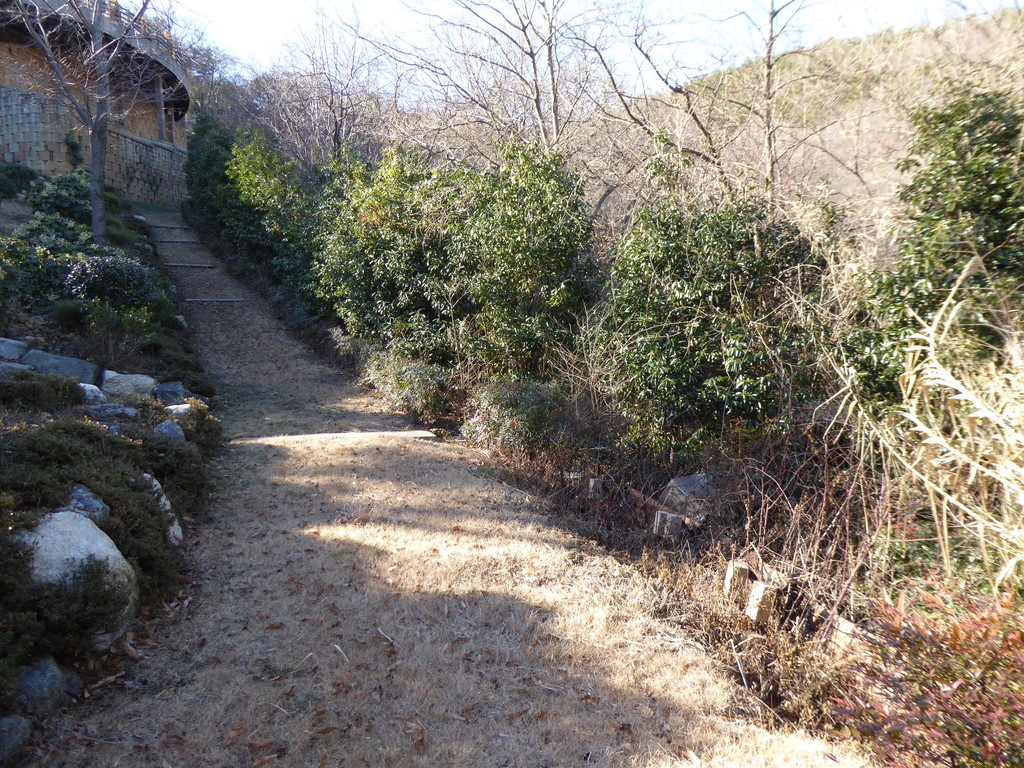 f:id:bluetears_osaka:20181229140241j:plain