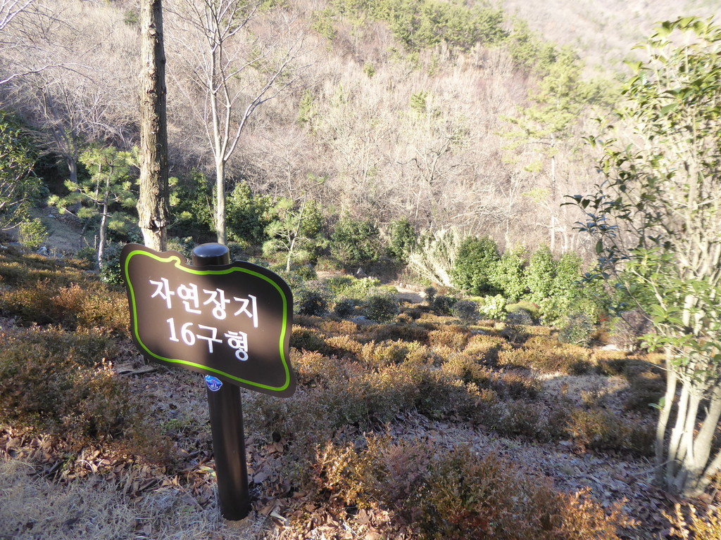 f:id:bluetears_osaka:20181229140453j:plain