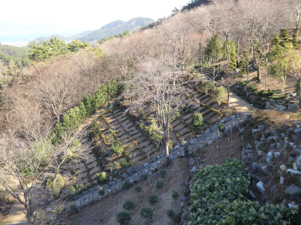 f:id:bluetears_osaka:20181229140651j:plain