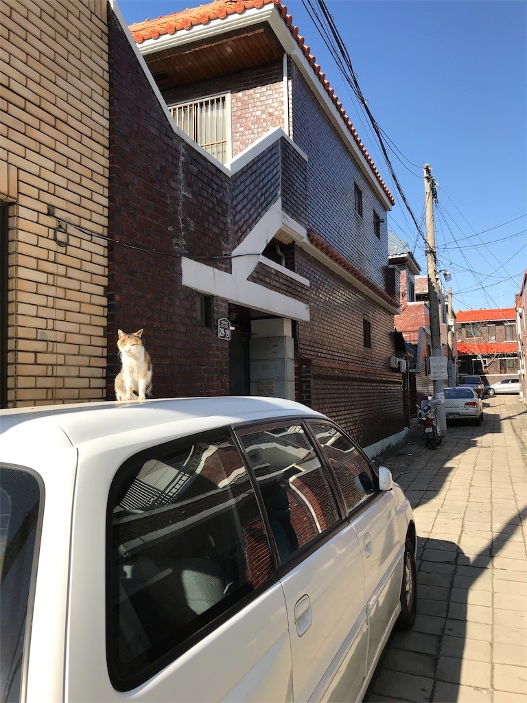 f:id:bluetears_osaka:20181231214908j:image