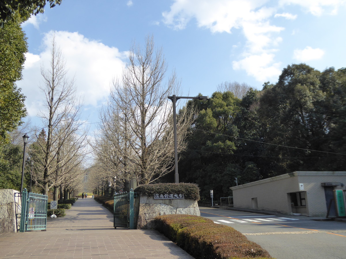 f:id:bluetears_osaka:20190217143731j:plain
