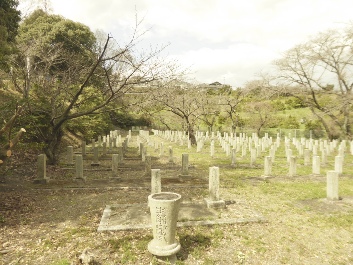 f:id:bluetears_osaka:20190311114017j:plain f:id:bluetears_osaka:20190311114017j:plain