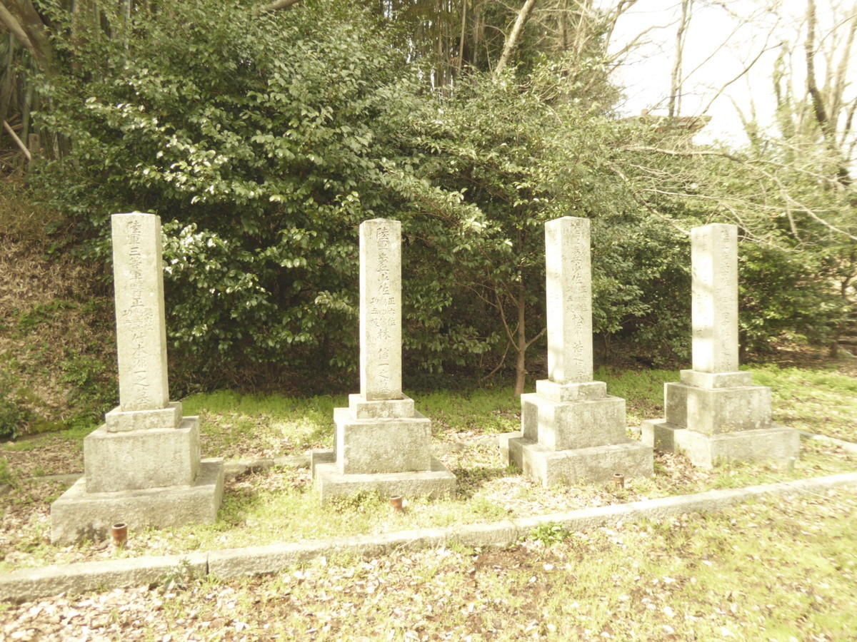 f:id:bluetears_osaka:20190311114449j:plain f:id:bluetears_osaka:20190311114449j:plain