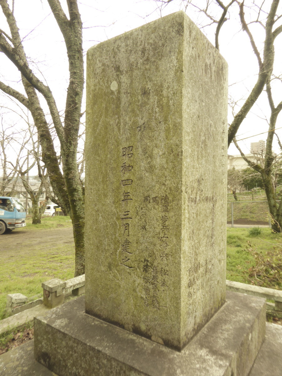 f:id:bluetears_osaka:20190311115931j:plain f:id:bluetears_osaka:20190311115931j:plain