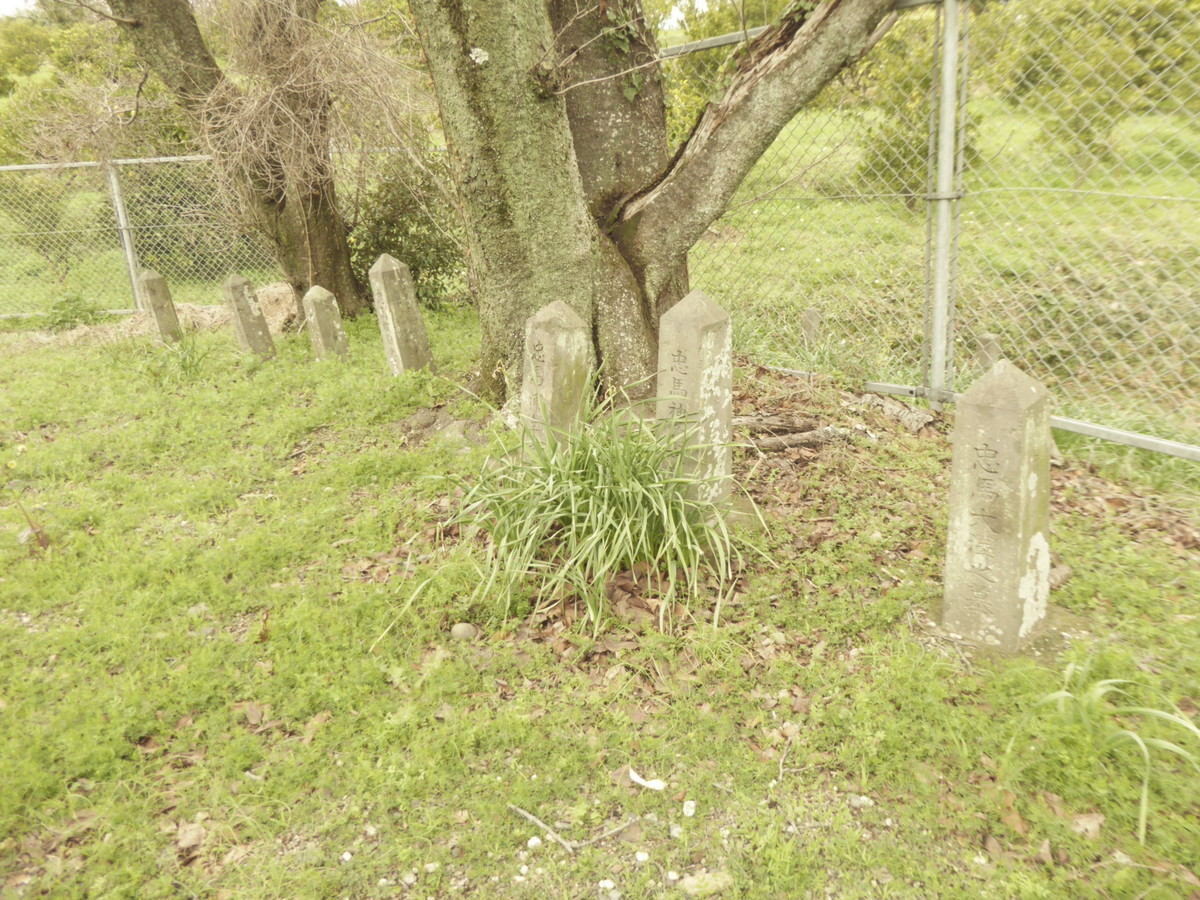 f:id:bluetears_osaka:20190311120143j:plain f:id:bluetears_osaka:20190311120143j:plain