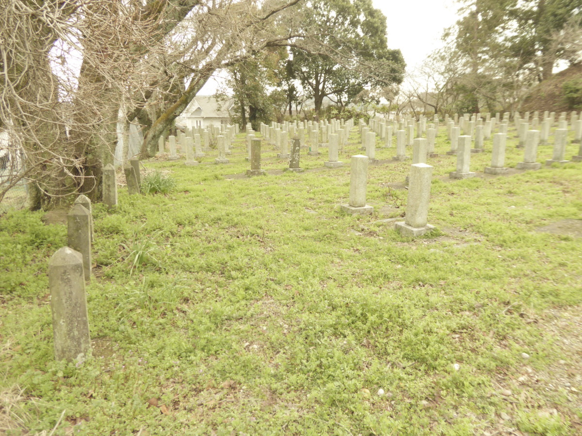 f:id:bluetears_osaka:20190311120224j:plain f:id:bluetears_osaka:20190311120224j:plain