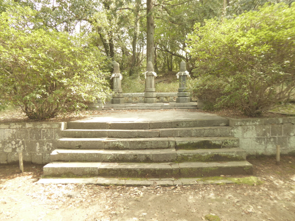 f:id:bluetears_osaka:20190311135527j:plain