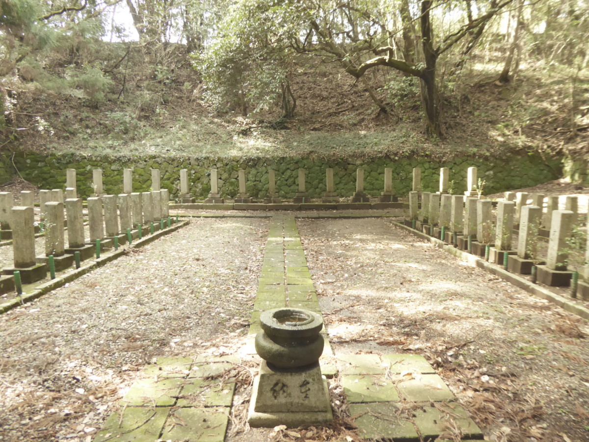 f:id:bluetears_osaka:20190311140055j:plain