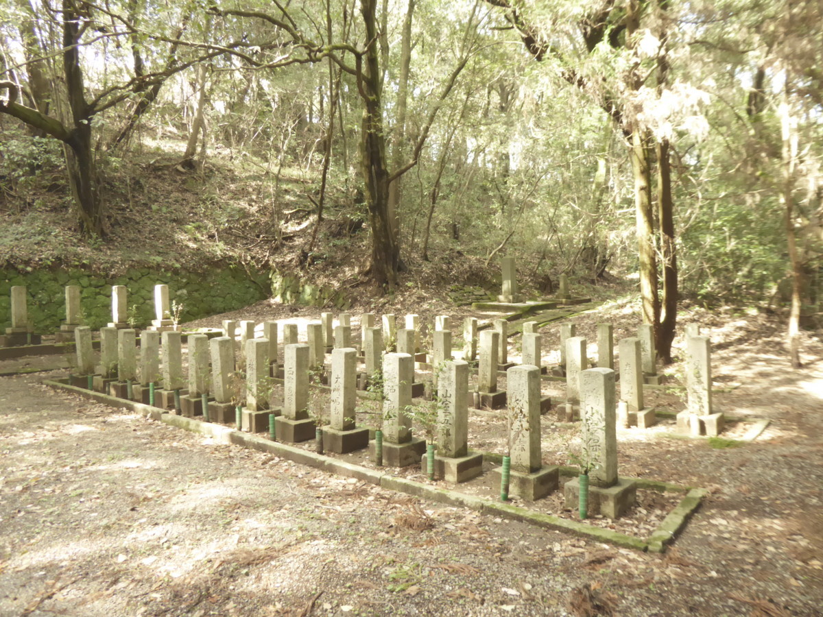 f:id:bluetears_osaka:20190311140101j:plain