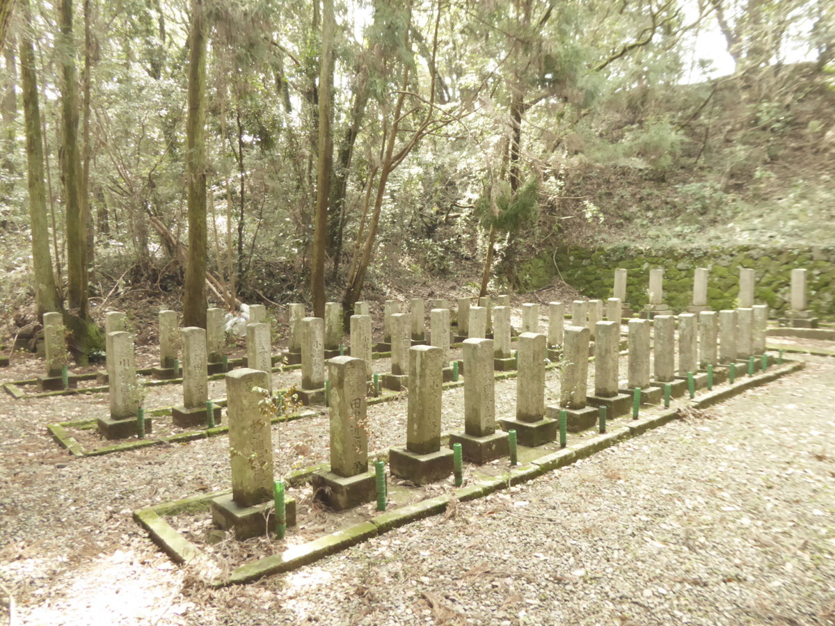 f:id:bluetears_osaka:20190311140107j:plain