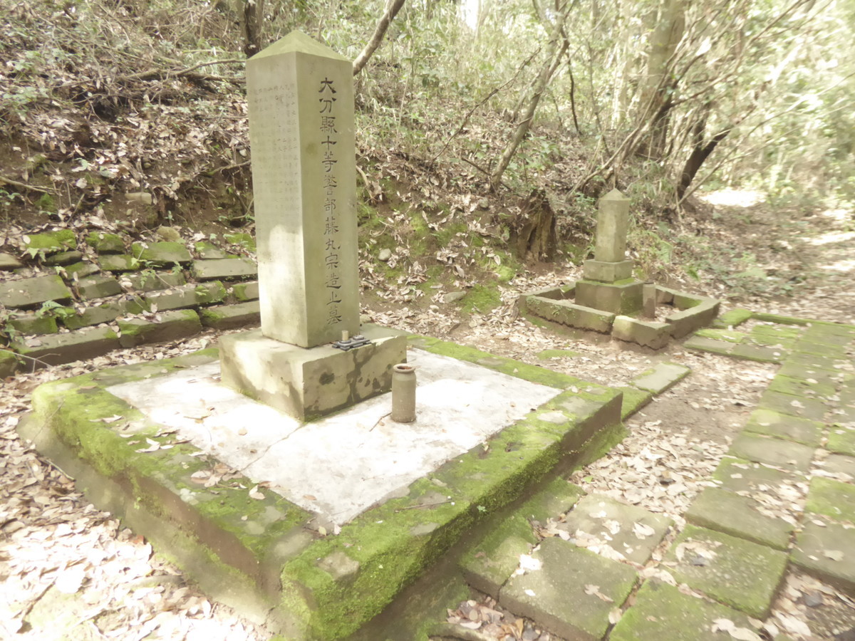 f:id:bluetears_osaka:20190311140138j:plain