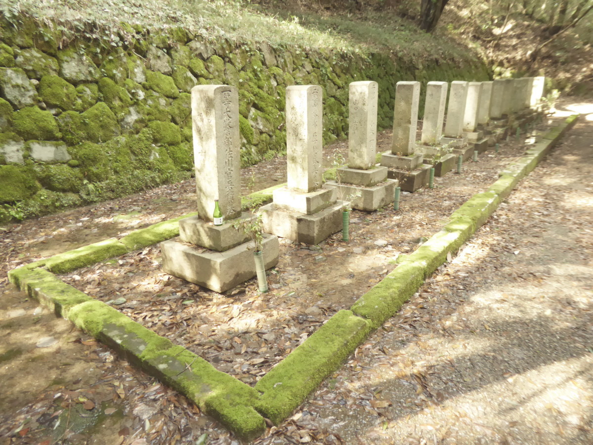 f:id:bluetears_osaka:20190311140409j:plain