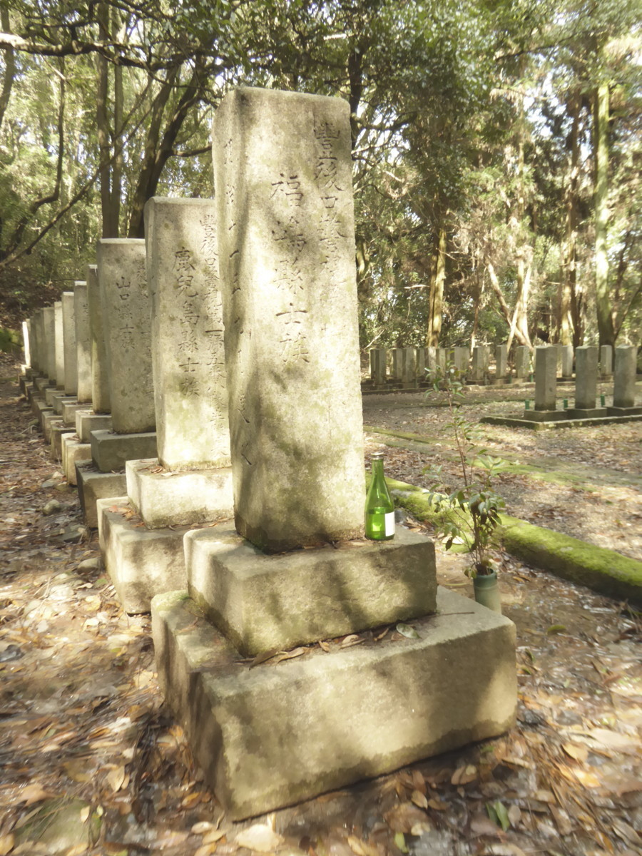 f:id:bluetears_osaka:20190311140443j:plain