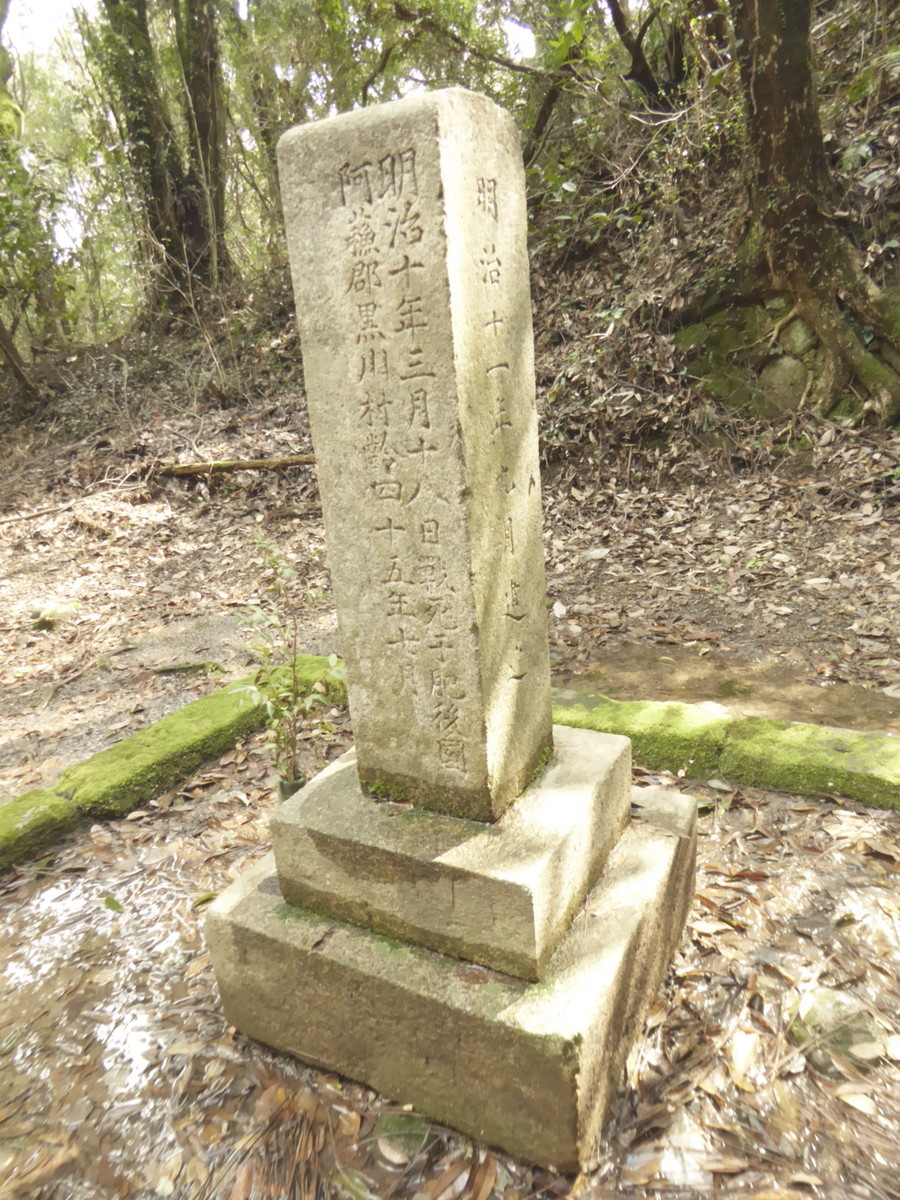 f:id:bluetears_osaka:20190311140512j:plain